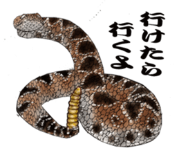 Diamondbacks sticker #5783468