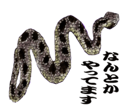 Diamondbacks sticker #5783470