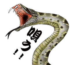 Diamondbacks sticker #5783473