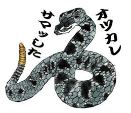 Diamondbacks sticker #5783475