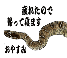 Diamondbacks sticker #5783478