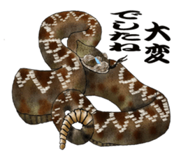 Diamondbacks sticker #5783481