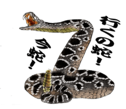 Diamondbacks sticker #5783483