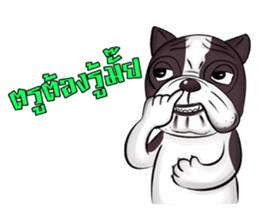 Pitbull &jungrai teddy sticker #5785044