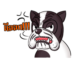 Pitbull &jungrai teddy sticker #5785050