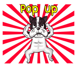 Pitbull &jungrai teddy sticker #5785060