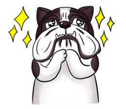 Pitbull &jungrai teddy sticker #5785065