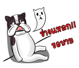 Pitbull &jungrai teddy sticker #5785066