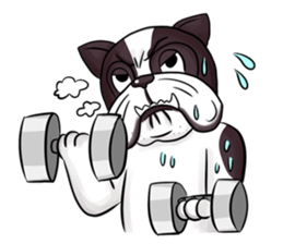 Pitbull &jungrai teddy sticker #5785068