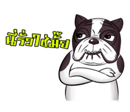 Pitbull &jungrai teddy sticker #5785071