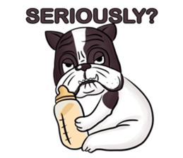 Pitbull &jungrai teddy sticker #5785078