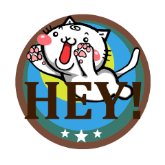 Funny cat UZUMAKI. Everyday ver.