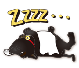 black cat story sticker #5787244