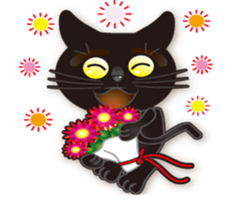 black cat story sticker #5787269