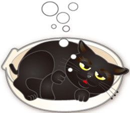 black cat story sticker #5787278