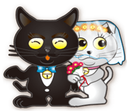 black cat story sticker #5787281