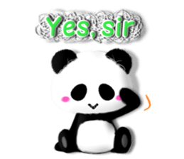 Soft Panda(English) sticker #5787745