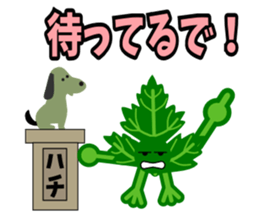 Fresh coriander2 sticker #5789490