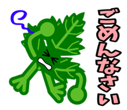 Fresh coriander2 sticker #5789496