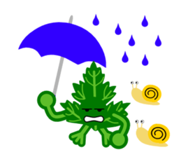 Fresh coriander2 sticker #5789517