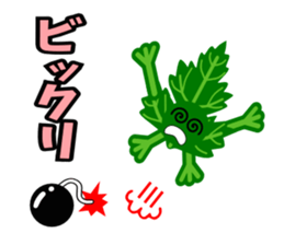 Fresh coriander2 sticker #5789521