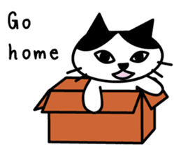 black and white cat english sticker #5792337
