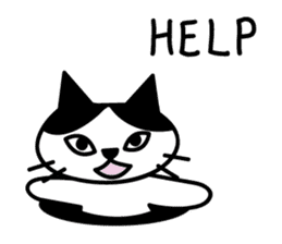 black and white cat english sticker #5792345