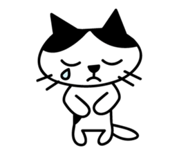 black and white cat english sticker #5792359