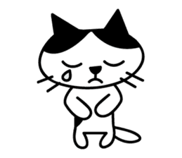 black and white cat english sticker #5792359