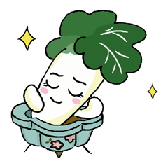 Little Jade Cabbage
