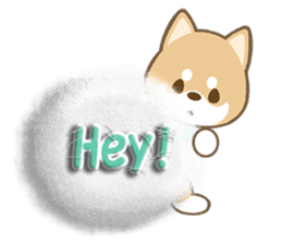 Soft Shibacchi(English) sticker #5793016