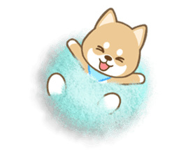 Soft Shibacchi(English) sticker #5793018