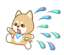 Soft Shibacchi(English) sticker #5793026