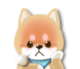 Soft Shibacchi(English) sticker #5793030