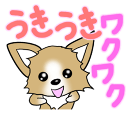 Chihuahua's Sticker!2 sticker #5794845