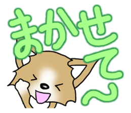 Chihuahua's Sticker!2 sticker #5794847