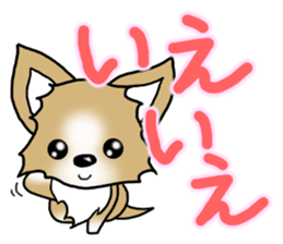 Chihuahua's Sticker!2 sticker #5794850
