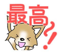Chihuahua's Sticker!2 sticker #5794851