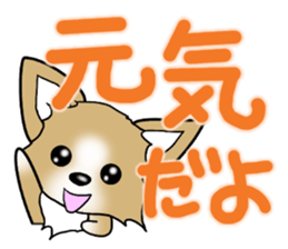 Chihuahua's Sticker!2 sticker #5794852