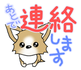 Chihuahua's Sticker!2 sticker #5794857