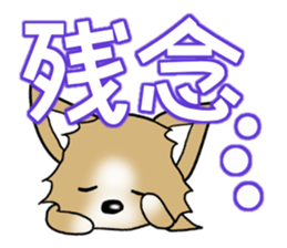 Chihuahua's Sticker!2 sticker #5794858