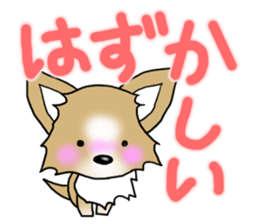 Chihuahua's Sticker!2 sticker #5794860