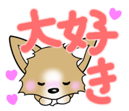 Chihuahua's Sticker!2 sticker #5794862