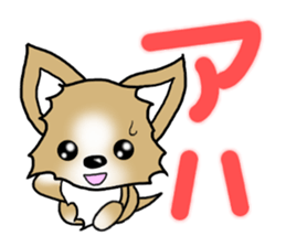 Chihuahua's Sticker!2 sticker #5794863
