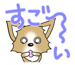 Chihuahua's Sticker!2 sticker #5794865