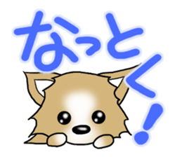 Chihuahua's Sticker!2 sticker #5794866