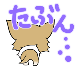 Chihuahua's Sticker!2 sticker #5794867