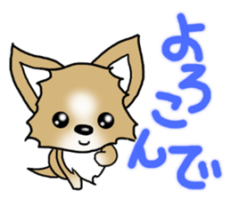 Chihuahua's Sticker!2 sticker #5794868