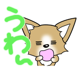 Chihuahua's Sticker!2 sticker #5794869