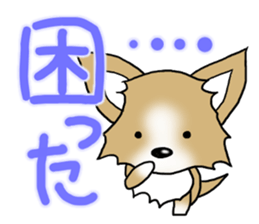 Chihuahua's Sticker!2 sticker #5794872